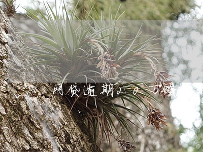 网贷逾期20万会怎样 网贷逾期20万会怎样