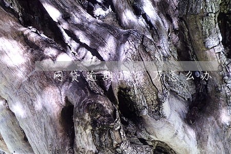 网贷逾期20万怎么办 网贷逾期20万怎么办
