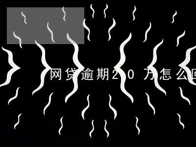 网贷逾期20万怎么回血 网贷逾期20万怎么回血