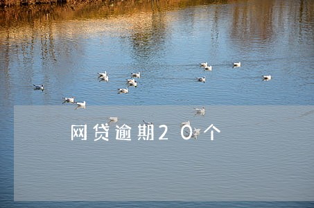 网贷逾期20个 网贷逾期20个