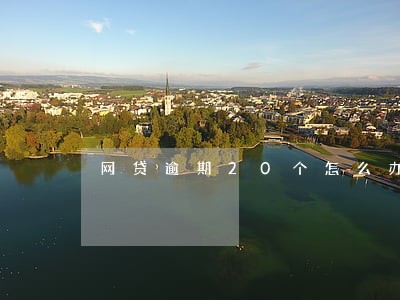 网贷逾期20个怎么办 网贷逾期20个怎么办