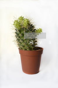 网贷逾期20多万 网贷逾期20多万
