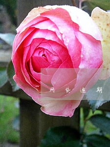 网贷逾期20多天后果 网贷逾期20多天后果