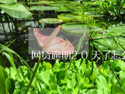 网贷逾期20天了怎么办 网贷逾期20天了怎么办
