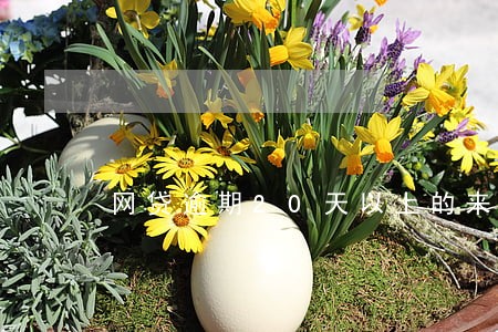 网贷逾期20天以上的来 网贷逾期20天以上的来