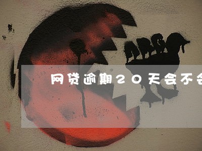 网贷逾期20天会不会打电话 网贷逾期20天会不会打电话