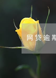 网贷逾期20天会怎样