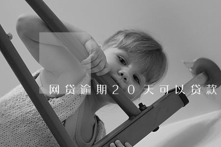 网贷逾期20天可以贷款吗 网贷逾期20天可以贷款吗