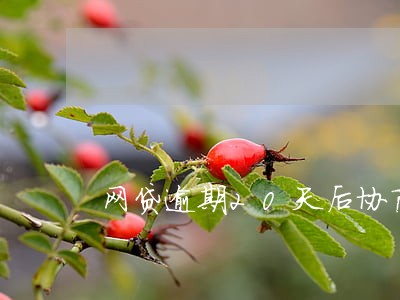 网贷逾期20天后协商 网贷逾期20天后协商
