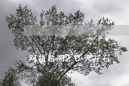 网贷逾期20天左右 网贷逾期20天左右