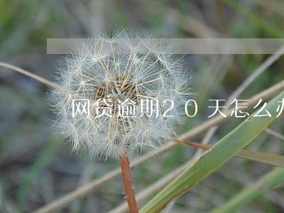 网贷逾期20天怎么办 网贷逾期20天怎么办