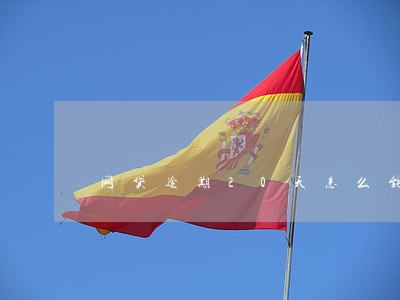 网贷逾期20天怎么能要到 网贷逾期20天怎么能要到