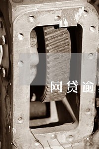 网贷逾期20天怎么解决 网贷逾期20天怎么解决