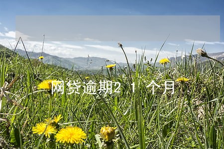 网贷逾期21个月 网贷逾期21个月