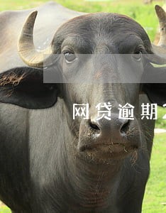 网贷逾期22个月怎么解决 网贷逾期22个月怎么解决