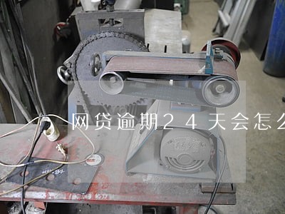 网贷逾期24天会怎么样