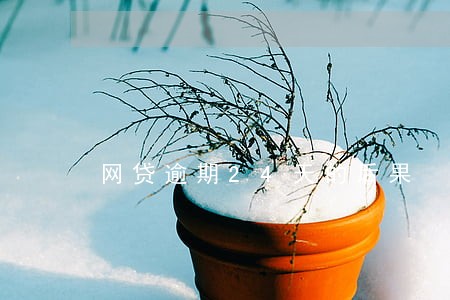 网贷逾期24天的后果 网贷逾期24天的后果