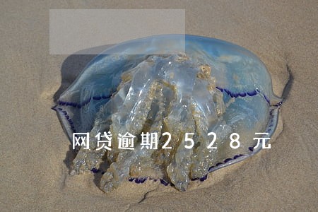 网贷逾期2528元 网贷逾期2528元