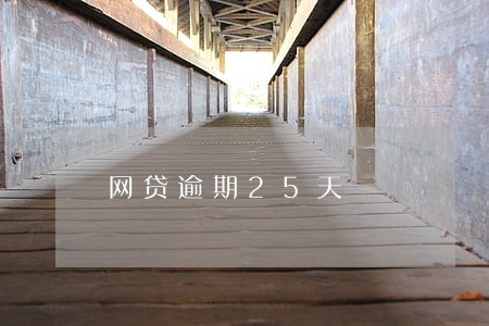 网贷逾期25天 网贷逾期25天