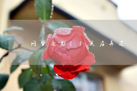 网贷逾期25天后再还 网贷逾期25天后再还