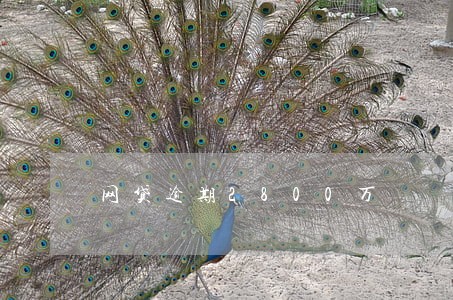 网贷逾期2800万 网贷逾期2800万