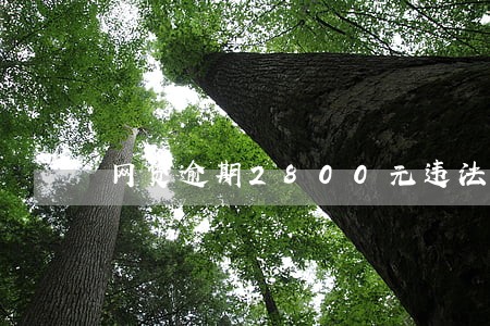 网贷逾期2800元违法么 网贷逾期2800元违法么