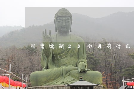 网贷逾期28个月有什么影响 网贷逾期28个月有什么影响