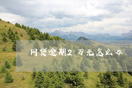 网贷逾期2万元怎么办 网贷逾期2万元怎么办