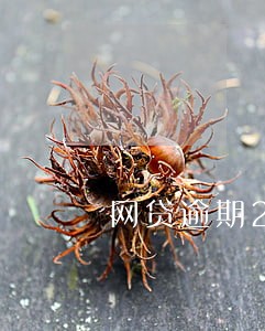 网贷逾期2万加利息变8万怎么办 网贷逾期2万加利息变8万怎么办