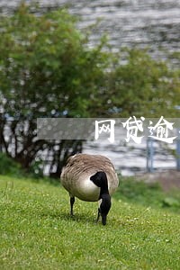 网贷逾期2万左右会被起诉吗 网贷逾期2万左右会被起诉吗