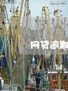 网贷逾期2万怎样给家里人说 网贷逾期2万怎样给家里人说