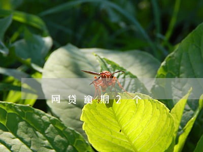 网贷逾期2个 网贷逾期2个