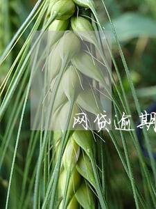 网贷逾期2千块 网贷逾期2千块