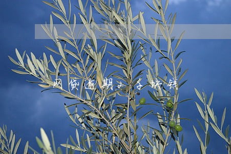网贷逾期2千块钱 网贷逾期2千块钱