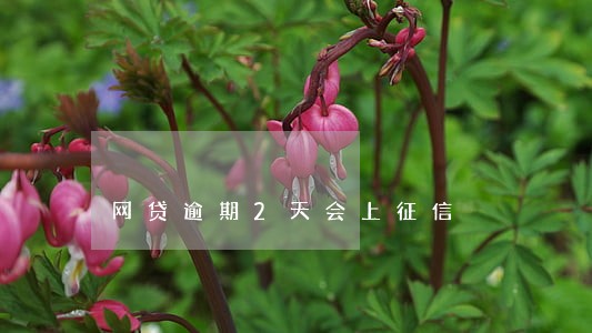 网贷逾期2天会上征信 网贷逾期2天会上征信