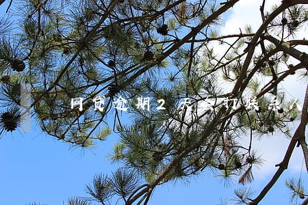 网贷逾期2天会打联系人吗 网贷逾期2天会打联系人吗