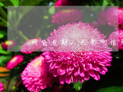 网贷逾期2天影响信用卡吗 网贷逾期2天影响信用卡吗