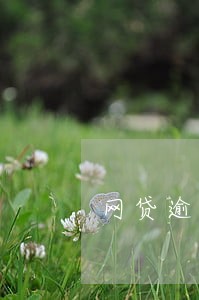 网贷逾期2天影响信用吗 网贷逾期2天影响信用吗