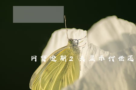 网贷逾期2天显示代偿还款 网贷逾期2天显示代偿还款