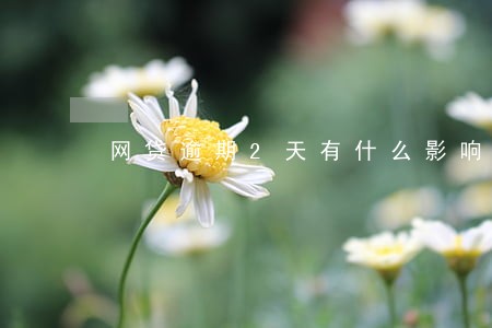 网贷逾期2天有什么影响 网贷逾期2天有什么影响
