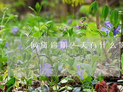 网贷逾期2天有什么影响吗 网贷逾期2天有什么影响吗