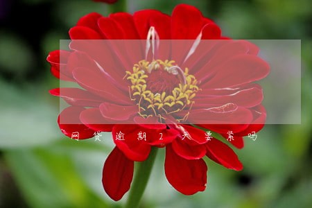 网贷逾期2天要紧吗