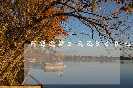网贷逾期2天还300元违法吗 网贷逾期2天还300元违法吗