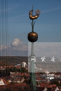 网贷逾期2年了怎么还 网贷逾期2年了怎么还