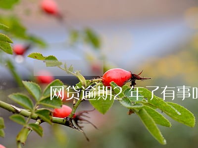 网贷逾期2年了有事吗