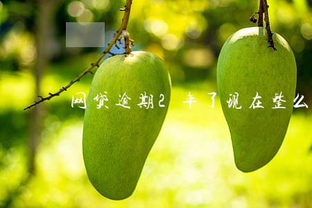 网贷逾期2年了现在整么还 网贷逾期2年了现在整么还