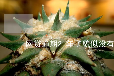 网贷逾期2年了貌似没有事了 网贷逾期2年了貌似没有事了