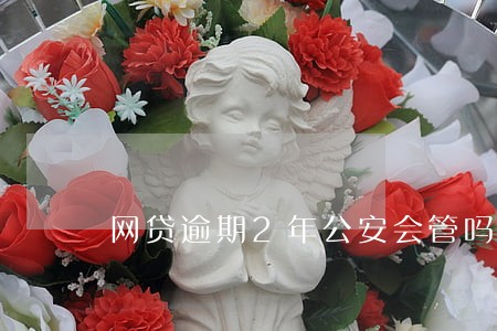 网贷逾期2年公安会管吗 网贷逾期2年公安会管吗