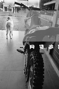 网贷逾期2年内无力偿还 网贷逾期2年内无力偿还