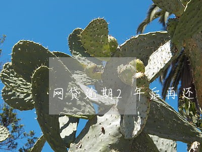 网贷逾期2年后再还 网贷逾期2年后再还